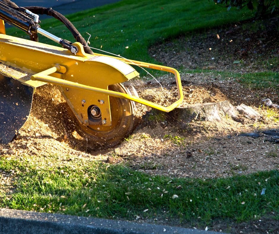 stump removal in oldham county ky